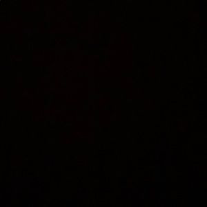 Meet your Posher, Dylan